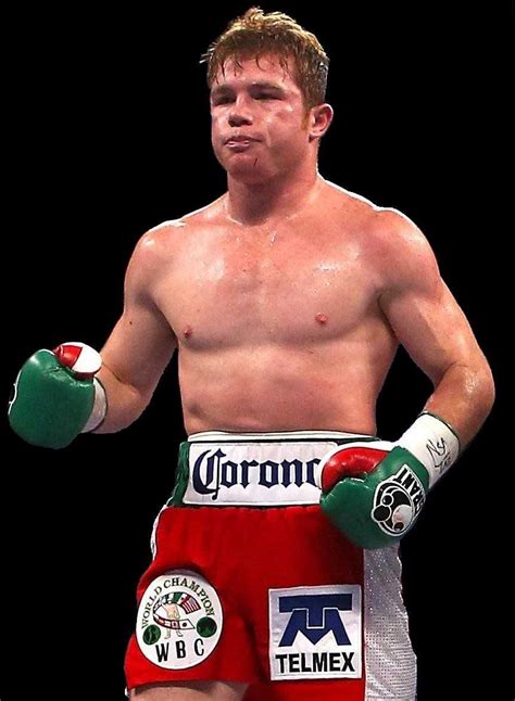 alvarez wiki